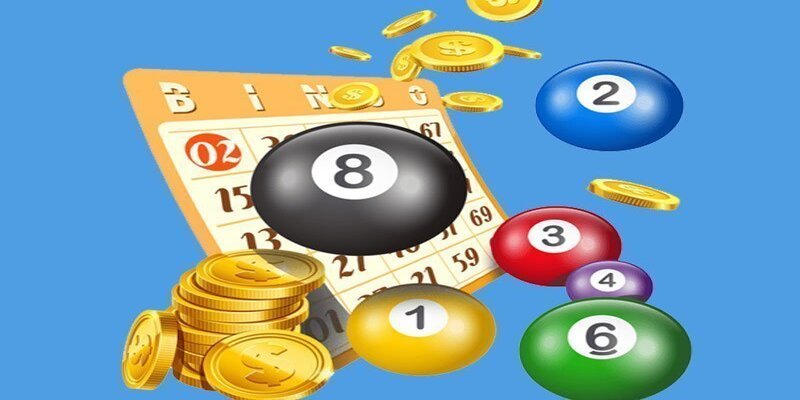 Hướng dẫn nuôi khung đúng cách cho người mới